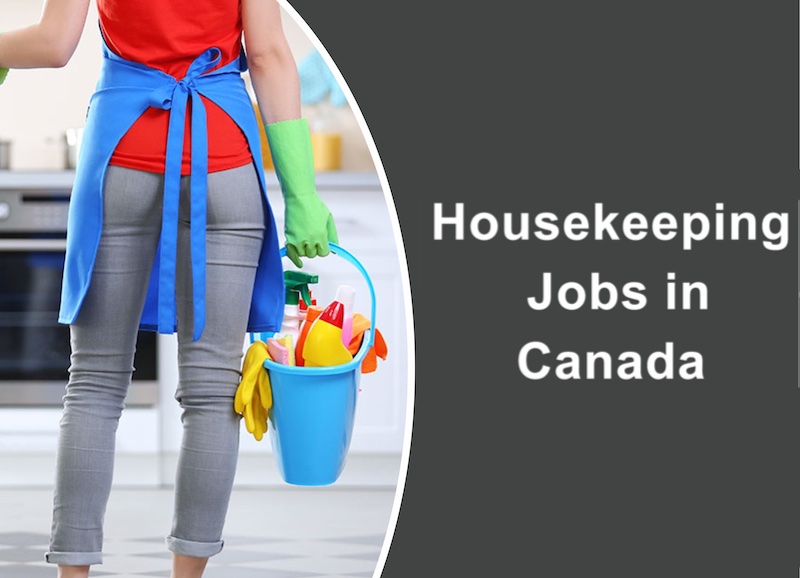 Housekeeping Wages In Canada 2024